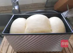 Toast Recipe Illustration 15