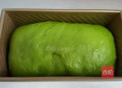 Illustration of Matcha Honey Bean Toast (Isuzu) 11