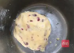 Cranberry Cookies Recipe Illustration 5