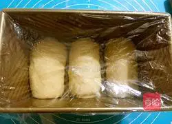 Cranberry toast recipe 12