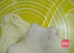 Cake Sandwich Bread Recipe Illustration 3