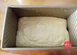 Golden Diamond Toast Recipe Illustration 15 