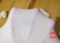 Illustration of how to make butter Hass 2