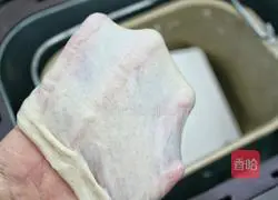 Illustration of making rye hot dog buns 2