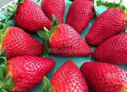 Illustration of how to make crispy chocolate strawberries 1