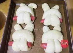 The bunny eats radish bread Illustration of practice 16