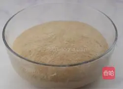 Illustration of how to make whole wheat toast 7