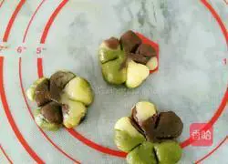 Illustration of how to make camouflage cookies 19