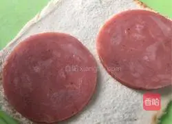 Illustration of how to make toast, ham and egg rolls 3