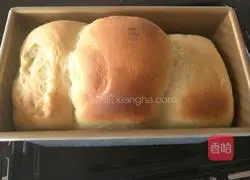 Milk toast recipe 17