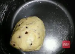 Cranberry Cookies (Novice) Recipe 2