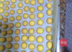 Egg yolk biscuits recipe 8