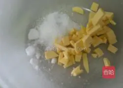 Cranberry Illustration of Si Kang's practice 1