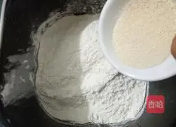 Bread machine toast recipe 3