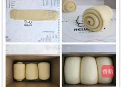 Illustration of one-time fermented hand-shredded toast 3