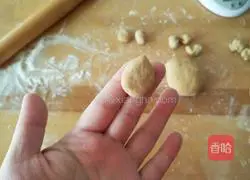 Illustration of how to make a bear bag 8