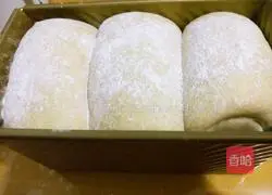 Rye Honey Toast Recipe Illustration 18