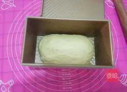 Sweet corn toast recipe 15