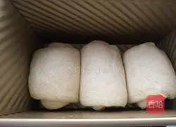 Rye honey toast recipe 16