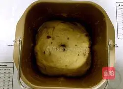 Oatmeal Cranberry Toast Recipe Illustration 5