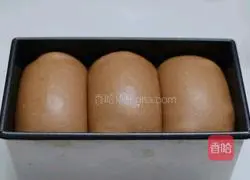 Illustration of how to make toast with fragrant and tempting cocoa flavor 6