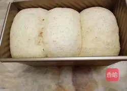 Whole wheat milk toast recipe 12