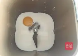 How to make two-color toast (one-time water bath fermentation) Illustration 2