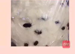 Grape milk dry toast recipe 1