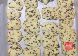 cranberry Illustration of how to make cookies 8