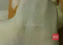 Illustration of how to make soft buns 3