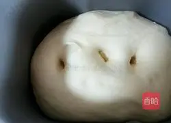 Leopard print toast recipe 8