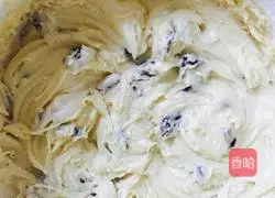 Cranberries Illustration of how to make cranberry biscuits 3