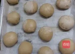 Fresh Illustration of how to make meat mooncakes 13