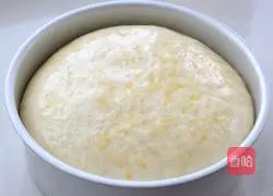 Cheese bread recipe 6