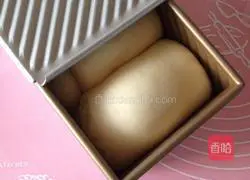 Illustration of how to make salad toast 7