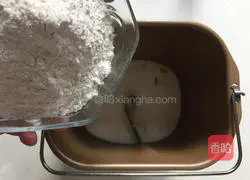 Illustration of two-color water cube toast bread 2 