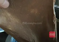 Okpi Panda Bread Practice illustration 4