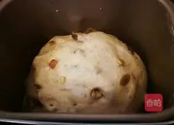 Walnut whole wheat bread recipe 10