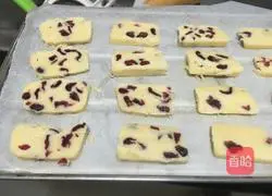 Cranberry Cookie Recipe Illustration 5