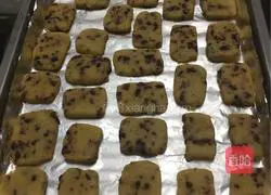 Cranberry biscuits recipe 6