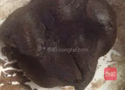 Illustration of how to make bear biscuits 9