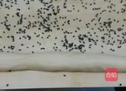 Illustration of making homemade sesame cookies 3