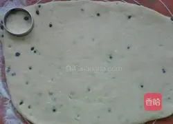 Chocolate Bean Cheese Scones Recipe Illustration 8