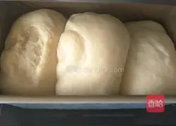 Milk Toast Recipe Illustration 14