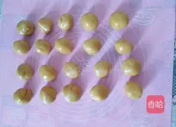 Wu Ren mooncake recipe 7