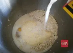 Cranberry rye bread recipe 4