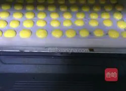 Egg yolk biscuits recipe 7