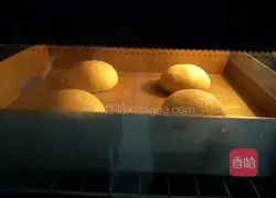 Illustration of how to make hamburger embryos (without mold version) 10