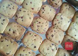 Cranberry Cookies (Homemade Version) Recipe Illustration 22