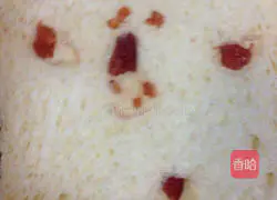 Crancross Illustration of making berry toast 17